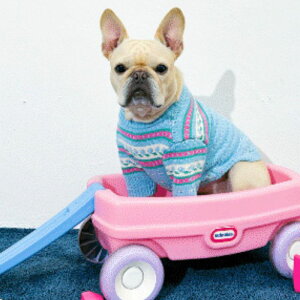 [yTOOFzTOOF VINTAGE SWEATERiBLUEj  hbOEFA ̕ ^ ^ pi hbOObY ؍ t t