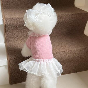 \̔yHi YeboozIris Cape Collar Ops (Pink)  hbOEFA ̕ ^ ^ ؍ pi hbOObY t t