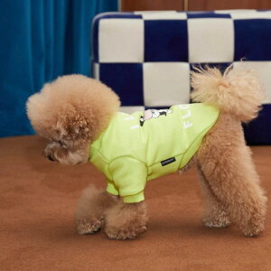 [yandblankzmilk cow T-shirtiLimej ؍ uh 킢  v[g ^ LN^[ NEW ^ t  H o ^ 