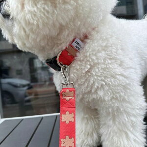 [yOUNCEzjelly bear collari3colorj ؍ pi hbOObY  hbOJ[ ̎ p ֏^  [h