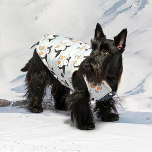 [yandblankzABK Snow Penguin Reversible Padding  hbOEFA h ~ ~ ̕ pi hbOObY ؍ ^