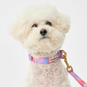 [yiCANDORzGentle Collar DualiMILKY WAYjS/M ؍ pi hbOObY  ̎ hbOJ[  p n[lX ̃n[lX