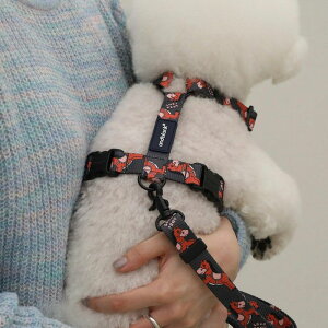 [yandblankzCoco pony harness ؍ pi hbOObY n[lX hbOn[lX n[lX pn[lX  ̎ p