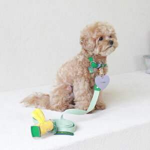 \̔ymaison de miuzPet Color 4Way Lead (Mint / Green) ؍ uh 킢  v[g ^ [h ^I NEW t  ֗