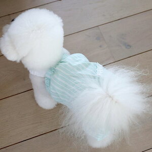\̔ynear by uszchouchou romperibaby mintj pi hbOObY TVc X[uX hbOEFA  ̕ ^ ^ t