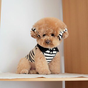 [yDURANG RURANGzBubble Gum Polo SleevelessiBlackj  hbOEFA ̕ X[uX pi hbOObY ؍ ^ ^ 