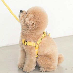 ※予約販売【BITE ME】Candy Crayon Harness 韓国 ブランド かわいい おしゃれ プレゼント 小型犬 ハーネス 散歩グッズ NEW 軽量 丈夫 ペット用品