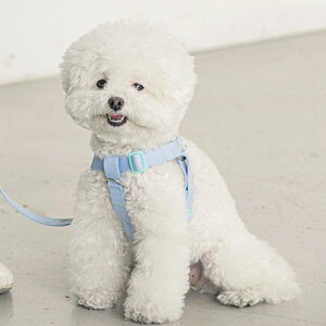 \̔yBITE MEzCandy Crayon Harness ؍ uh 킢  v[g ^ n[lX UObY NEW y v ybgpi