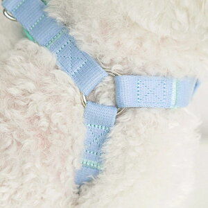 \̔yBITE MEzCandy Crayon Harness ؍ uh 킢  v[g ^ n[lX UObY NEW y v ybgpi