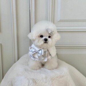 [yHi YeboozEmily Tweed CapeiSilverj  hbOEFA P[v ؍ pi hbOObY ^ ^ ~ ~