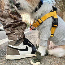 即納【RIFRUF】SNEAKERS CAESAR 1（Birch） URBAN DOG TOKYO / アーバンドッグトーキョー 犬靴 ブランド 犬の靴 散歩 おしゃれ 小型犬 中型犬 大型犬 アウトドア 犬 靴 脱げない 愛犬 犬用靴 夏 冬 カーキ ドッグシューズ スニーカー 犬用 肉球ケア 人気