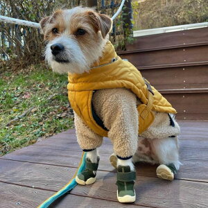 [yRIFRUFzSNEAKERS CAESAR 1iBirchj URBAN DOG TOKYO / A[ohbOg[L[ C uh ̌C U  ^ ^ ^ AEghA  C EȂ  pC  ~ J[L 