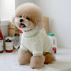 \̔ynear by uszPointelle knit topiGreentea lemonj  hbOEFA ̕ ؍ pi hbOObY t H ~ t