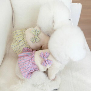 \̔ynear by uszRibbon knit topiPurplej ؍ pi hbOObY hbOEFA  ̕ ^ ^ t t