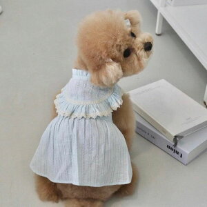 \̔yHi YeboozAnn Blouse (baby blue) ؍ uh 킢  v[g ^ s[X hX NEW t  H o 