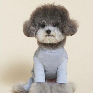 \̔ymeaninglesszGOSOMI ALL IN ONEiBluej ؍ uh 킢  v[g ^ NEW t H ~