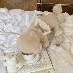 \̔ymeaninglesszLace all in one ؍ pi hbOObY hbOEFA  ̕ ^ ^ t 