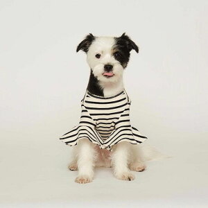 [yaugusmonzBorder Flare sleeve TOPSizCgj ؍ uh 킢  v[g ^ NEW t  H ~