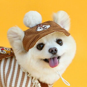 \̔yITS DOGzDisney chip'n dale corduroy hat(Brown) "ITS DOG Disney chipn dale corduroy hat Brown ؍ pi hbOObY hbOEFA 