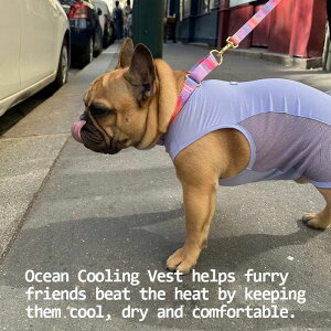 \̔yiCANDORzOCEAN COOLING VESTiCALM LAVENDARj  hbOEFA ̕ ؍ pi hbOObY ^ ^ t t