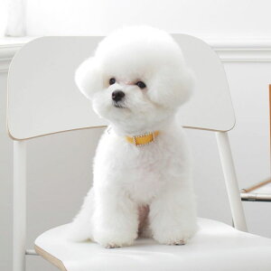 \̔ymaison de miuzSquare Pearl CollariYellowj ؍ uh 킢  v[g ^  ^I NEW