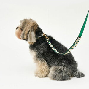 [yiCANDORzGentle CollariBIG FISH BLACKjXS-15mm ؍ pi hbOObY  ̎ hbOJ[ ֏^  p Up