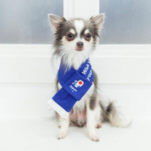 [yFIFA WORLD CUP QATAR 2022_zFIFA dog muffler / p }t[ Xg[ TbJ[ {\ { Wp JAPAN TCWp  JAPAN ItBVCZX CZX   ̊