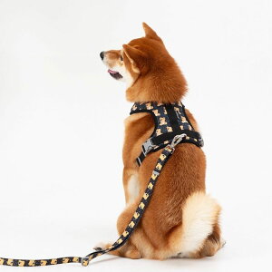 ���[�yandblank�zICONIC Joy Bear Harness�iBlack�j ���p�i �h�b�O�O�b�Y �n�[�l�X �h�b�O�n�[�l�X ���n�[�l�X ���p�n�[�l�X �؍� ���^�� ���^���� �y��