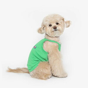 [yTUSTUSzCOOL STRAP TEEiGREENj  hbOEFA ̕ X[uX TVc pi hbOObY ؍ ^ ^