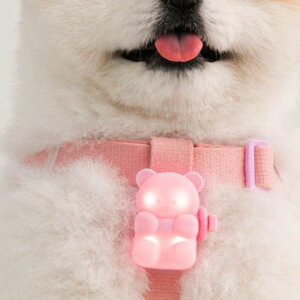 \̔yBITE MEzJellybear LED Rechargable Blinker ؍ uh 킢  v[g ^  n[lX [h UObY NEW  J ybgpi