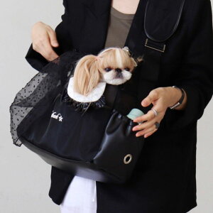 \̔yGET BACKzTraveler Sling BagiBlackj hbOXO pobO XOobO pXO hbOobO y y pi hbOObY ؍