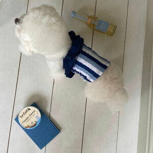 [yHi YeboozSwimwear CollectioniStripej ؍ uh 킢  v[g ^  NEW 