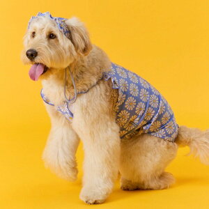 \̔ymunikundzMUNIKUND × POSITIVE PENGUIN Swim HatiSky Bluej pi hbOObY  ̕ hbOEFA X[uX  ĕ ʋC y