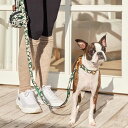※予約販売【iCANDOR】Gentle Leash（BIG FISH BLACK） 犬リード 犬用リード 犬リード小型犬 リード小型犬 中型犬リー…
