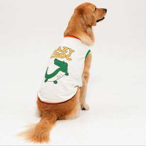 \̔yandblankzIconic Color Block SleevelessiLazy Crocodilej  hbOEFA ̕ X[uX pi hbOObY ^ ^ ^ ^