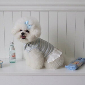 ※予約販売【Hi Yeboo】Cozy Skirt(Blue) 韓国 ブランド かわいい おしゃれ プレゼント 小型犬 ワンピース ドレス NEW 春 夏 秋 冬