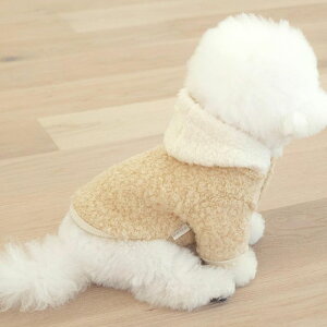 [ynear by uszboucle hoodyiButterj  hbOEFA ̕ ^ ^ h ~ ~ pi hbOObY