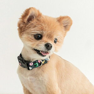 \̔yBITE MEzBITE ME × PPP STUDIO - Dog Collar ؍ pi hbOObY  hbOJ[ ̎ p ֏^  y