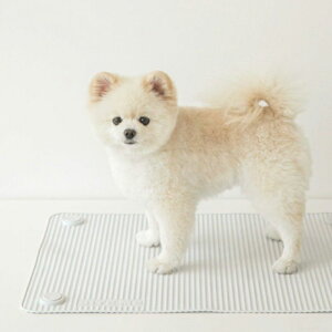 [yBITE MEzNon-slip mulit bath mat /  mXbv oX}bg C oXpi ybgpi ybgObY hbOObY ~ VR h  PA | ȒP ꏊ ֗ ybg o