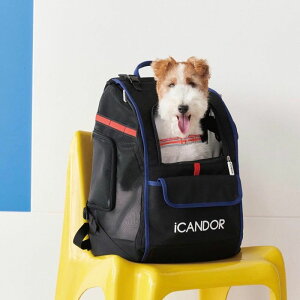 [yiCANDORzJIGE bagiDynamic Blackj obO pobO hbOobO L[obO XOobO y y pi hbOObY ؍