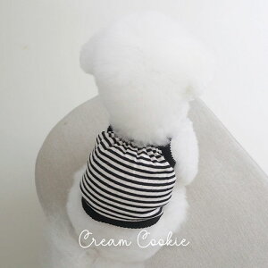 [ynear by uszStripe Petit Crop TopiCream Cookiej ؍ pi hbOObY TVc X[uX hbOEFA  ̕ ^ ^