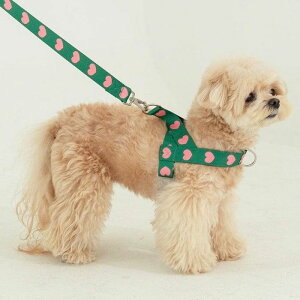\̔yOUNCEzheart bongbong harnessiGreenj pi hbOObY n[lX ̃n[lX hbOn[lX n[lX^ n[lX pn[lX [h ̃[h
