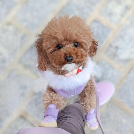 即納【RIFRUF】SNEAKERS CAESAR 1（Taro） URBAN DOG TOKYO / アーバンドッグトーキョー 犬靴 ブランド 犬の靴 散歩 おしゃれ 小型犬 中型犬 大型犬 アウトドア 犬 靴 脱げない 愛犬 犬用靴 夏 冬 パープル ドッグシューズ スニーカー 犬用 肉球ケア 人気