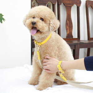 \̔ymaison de miuzHands Free Full SetiYellowj ؍ uh 킢  v[g ^  [h ^I UObY NEW y ֗  ̎