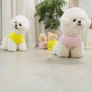 \̔yBeBe Breathzteddy bear Cropti ؍ uh 킢  v[g ^ NEW t  H ~