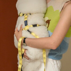 \̔yandblank×KnottedzSmile harness(Yellow) ؍ uh 킢  v[g ^  n[lX [h UObY NEW ^ t  v ^