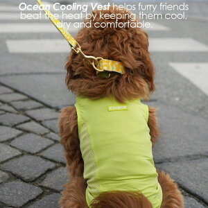 \̔yiCANDORzOCEAN COOLING VESTiMINTY LIMEj  hbOEFA ̕ ؍ pi hbOObY ^ ^ t ĕ