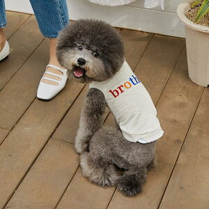 [yONE OF USzbrother TOPSiO[Wj ؍ uh 킢  v[g ^ NEW t  H 