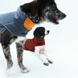 \̔ymunikundzINTER FLEECE JACKETiGRAYj  hbOEFA ^ ^ ^ ^ ^ ^ pi hbOObY