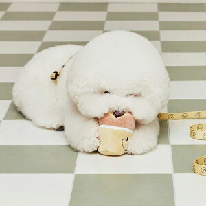 [yandblankzDONUT NOSEWORK TOY ؍ uh 킢  v[g ^  m[Y[N NEW t   J XgX m mߋ